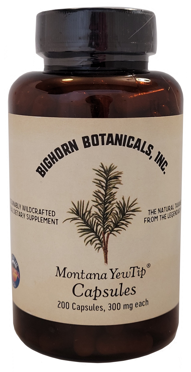 YT: Montana Yew Tip Capsules 300 mg 200 ct