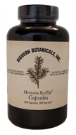 YT: Montana Yew Tip Capsules 300 mg 400 ct